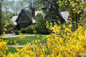 Chatham University