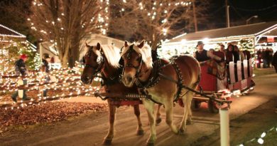 Christmas Light Displys in Pittsburgh