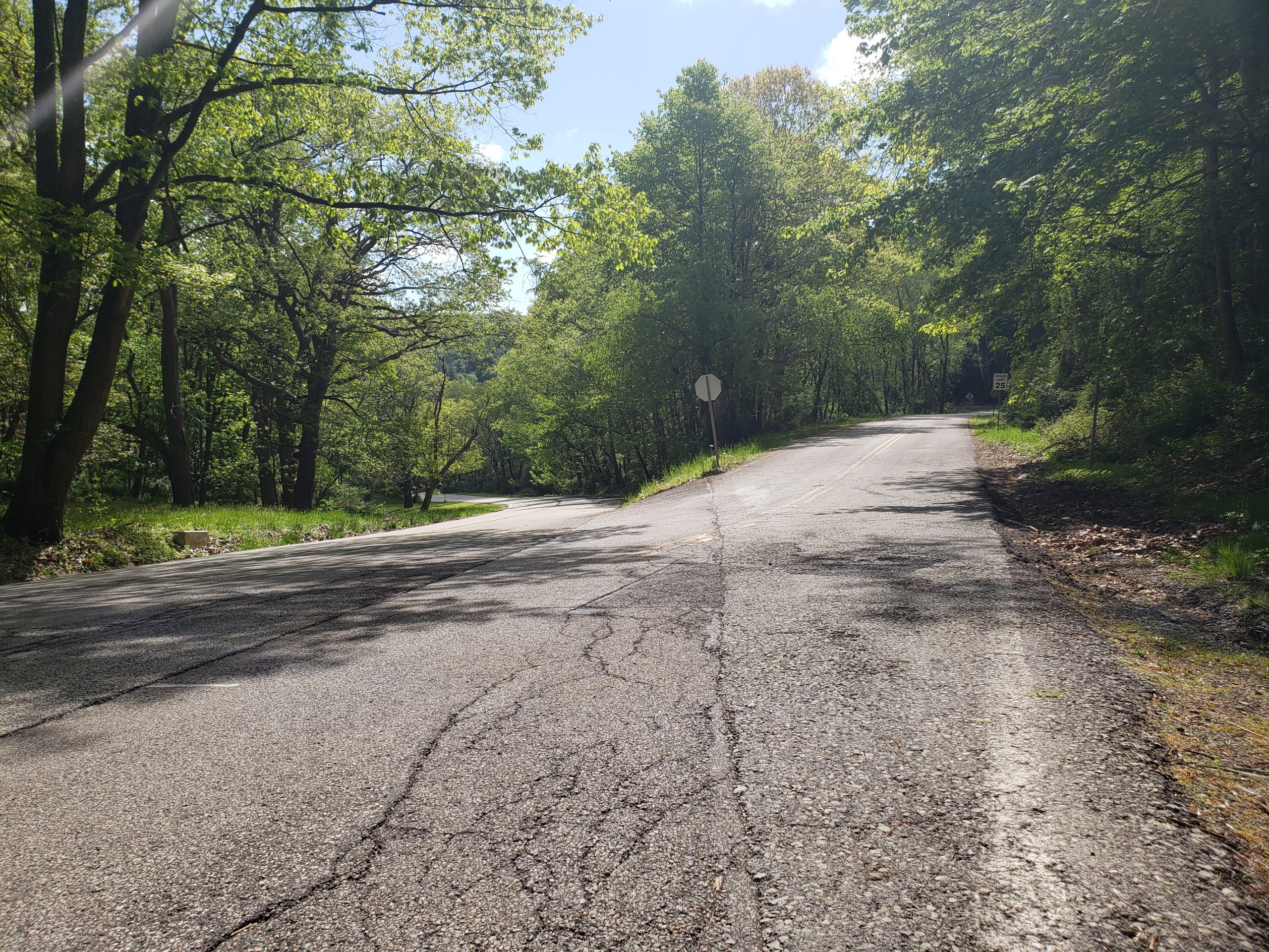 Gravity Hill, North Park