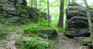 Jumonville Glen